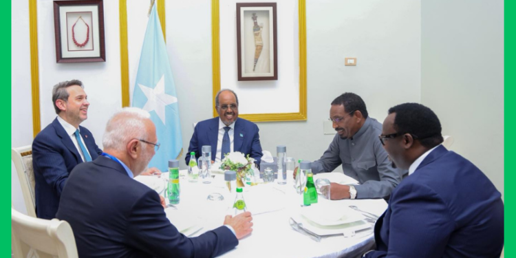 Madaxweyne Xasan Sheekh oo la kulmay wasiirka tamarta Turkiga