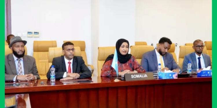 Soomaaliya oo gudbisay Axdiga Afrika ee xuquuqda carruurta