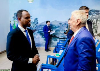 Muqdisho oo lagu qabtay bandhig farshaxan oo caalami ah+sawiro