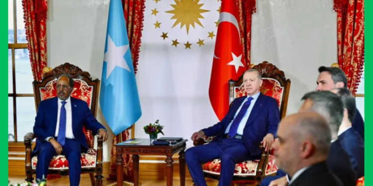 Xasan Sheekh iyo Erdoğan oo ka wada hadlay xoojinta xiriirka Soomaaliya iyo Turkiga