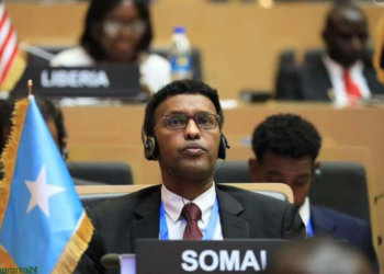 Soomaaliya oo ka digtay tallaabooyin ka dhan ah marinka Bab-el-Mandeb