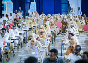 DF oo ku eedeysay Puntland iyo Somaliland inay caqabadda ku noqdeen shahaadada waxbarashada dalka