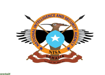 NISA oo sheegtay in kabadan 33 Al-Shabaab ah lagu dilay Shabeellaha Dhexe