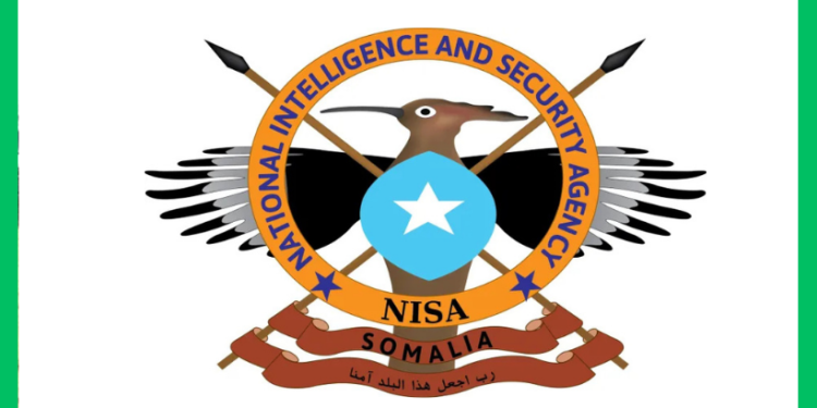 NISA oo sheegtay in kabadan 33 Al-Shabaab ah lagu dilay Shabeellaha Dhexe