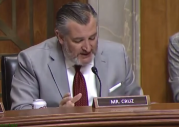 DAAWO: Ted Cruz oo sheegay in Trump laga yaabo inuu aqoonsado Somaliland