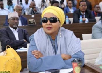 Aamino Eelaay oo ka hadashay doorashada Koonfur Galbeed