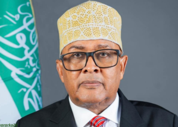 Somaliland oo cambaareysay isku daygii weerarka Trump