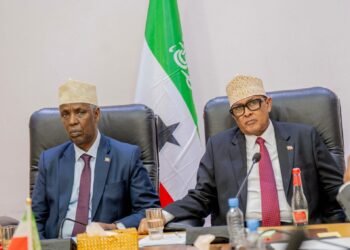 Cirro oo sheegay in Somaliland gaartay heer aqoonsi oo caalami ah