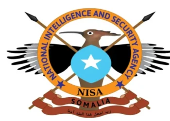NISA oo sheegtay in 26 xubnood oo Al-Shabaab lagu dilay duqeymo ka dhacay Hiiraan