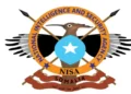 NISA Oo Howlgal Ka Fulisay Hiiraan Kuna Beegsatay horjoogayaasha Al-Shabaab