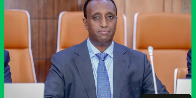 Guddiga Doorashooyinka oo sharci-darro ku tilmaamay magacaabistii…