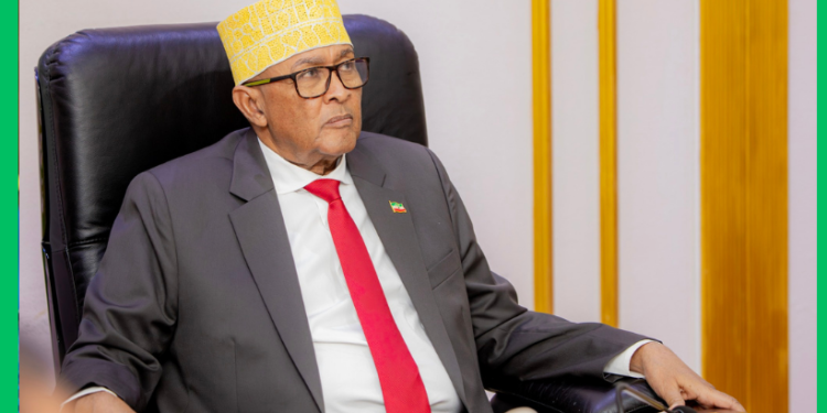 Safarka Cirro ee Imaaraadka oo hadal-heyn dhaliyay