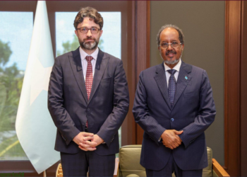 Turkiga oo dadaal ugu jira xalinta khilaafka siyaasadeed ee DF iyo mucaaradka