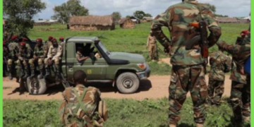 Ciidanka Xoogga oo sheegay inay dileen laba xubnood oo ka tirsanaa Al-Shabaab