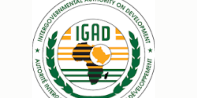 IGAD oo ku baaqday sii wadista wada-hadallada siyaasadeed ee Soomaaliya