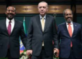 Turkiga oo xoojinaya doorkiisa siyaasadeed ee Soomaaliya iyo Itoobiya
