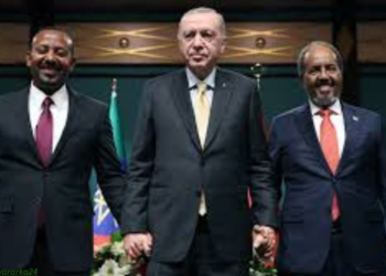Turkiga oo xoojinaya doorkiisa siyaasadeed ee Soomaaliya iyo Itoobiya