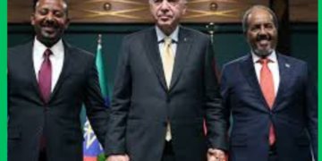 Turkiga oo xoojinaya doorkiisa siyaasadeed ee Soomaaliya iyo Itoobiya