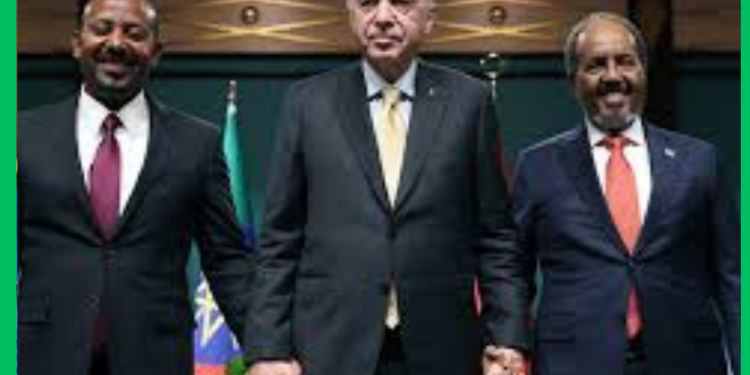 Turkiga oo xoojinaya doorkiisa siyaasadeed ee Soomaaliya iyo Itoobiya