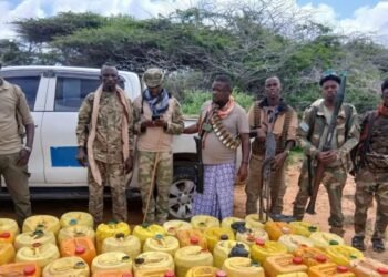 Daawo: NISA oo qabatay walxo kiimiko ah oo loo waday Al-Shabaab