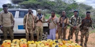 Daawo: NISA oo qabatay walxo kiimiko ah oo loo waday Al-Shabaab