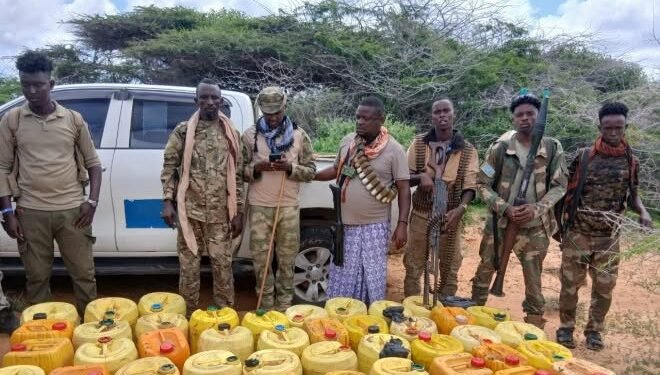 Daawo: NISA oo qabatay walxo kiimiko ah oo loo waday Al-Shabaab
