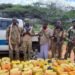 Daawo: NISA oo qabatay walxo kiimiko ah oo loo waday Al-Shabaab
