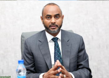 Dowladda oo sheegtay in maalgelin dibadeed ka dambeysay rabshadihii Muqdisho
