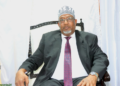 Aadan Madoobe oo loo doortay Madaxweynaha Koonfur Galbeed