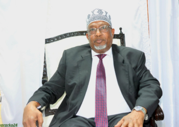 Aadan Madoobe oo loo doortay Madaxweynaha Koonfur Galbeed