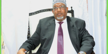 Aadan Madoobe oo loo doortay Madaxweynaha Koonfur Galbeed
