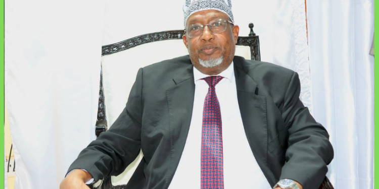 Aadan Madoobe oo loo doortay Madaxweynaha Koonfur Galbeed