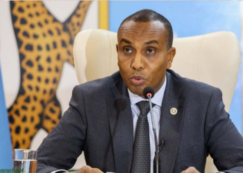 Ra’iisul wasaare Xamza: Caalamkii Soomaaliya ka fogaaday ayaa dib u soo laabanaya