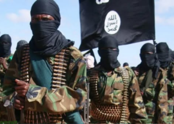 Dowladda Federaalka oo sheegtay in duqeymo lagu dilay in ka badan 30 Al-Shabaab ah