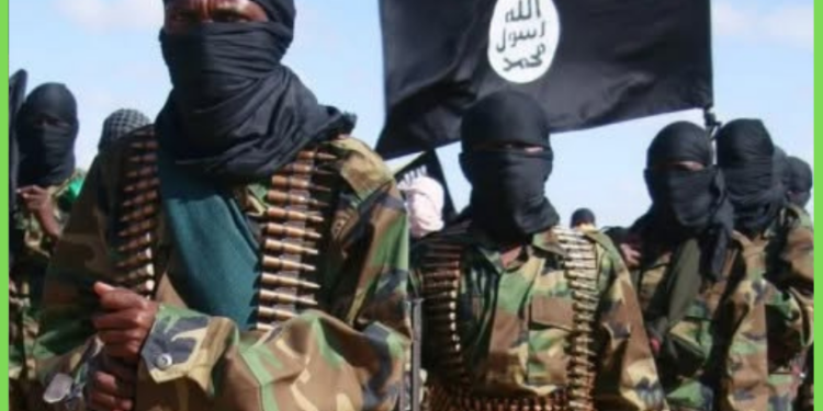 Dowladda Federaalka oo sheegtay in duqeymo lagu dilay in ka badan 30 Al-Shabaab ah