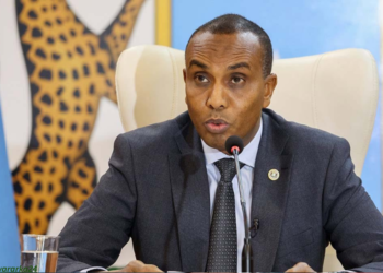 Daawo: Ra’iisul Wasaare Xamza oo jaam ku galay isgoyska Tarabuunka, sheegayna inuu ku faraxsanyahay