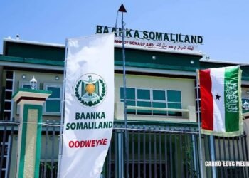 Somaliland oo wajahaysa weerarro dhanka internet-ka ah