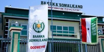Somaliland oo wajahaysa weerarro dhanka internet-ka ah