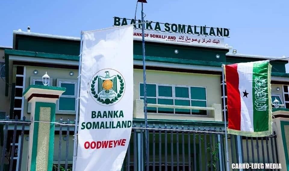 Somaliland oo wajahaysa weerarro dhanka internet-ka ah