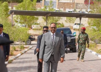 Puntland oo Galmudug ku eedeysay martigelinta ciidamo ay sheegtay inay halis ku yihiin ammaankeeda