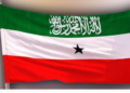 Shabakadda Wasaaradda Arrimaha Dibadda Somaliland oo la jabsaday