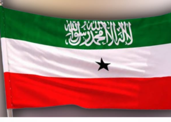 Shabakadda Wasaaradda Arrimaha Dibadda Somaliland oo la jabsaday