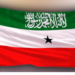 Shabakadda Wasaaradda Arrimaha Dibadda Somaliland oo la jabsaday