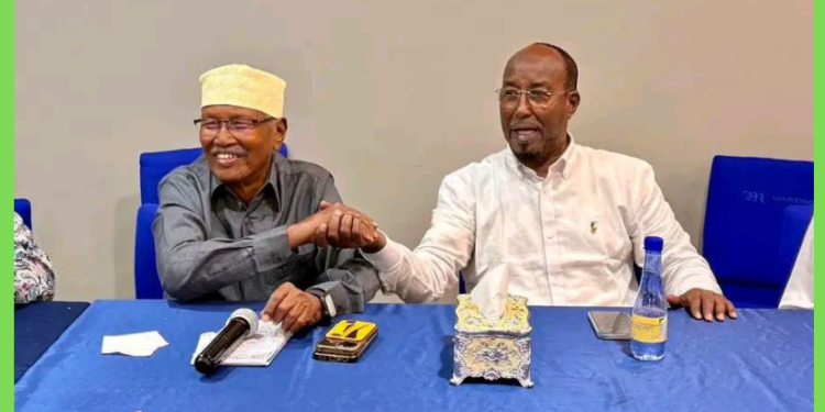 Faroole oo sheegay inay dowlad sharci ah ka jirin Muqdisho