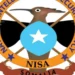 NISA oo  laba xubnood oo Al-Shabaab ah ku beegsatay Howlgal kadacay Garasbaaley