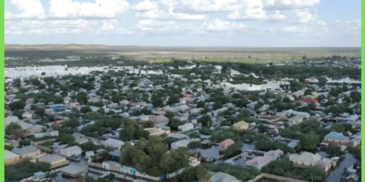 Hay’adaha gargaarka oo ka digay saameynta El Niño ee Soomaaliya