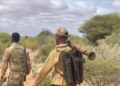 Toddobo fariisin oo Al-Shabaab ku lahayd duleedka Jilib oo ay Kumaandooska Danab burburiyeen