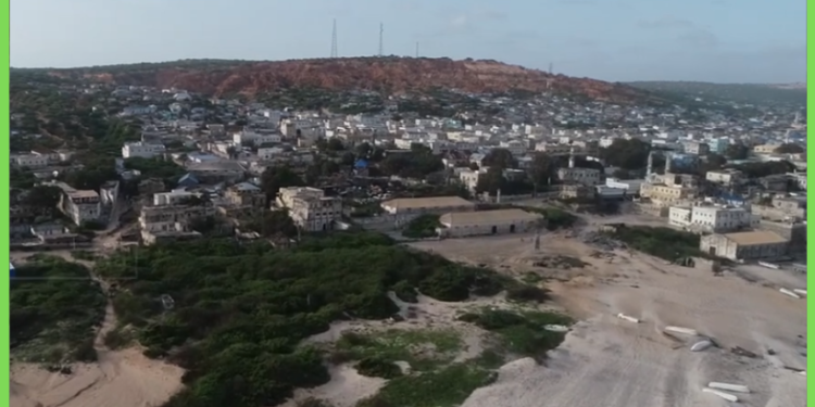 DF oo soo afjartay xiisad ka taagneyd degaanka u dhexeeya Marka iyo Janaale