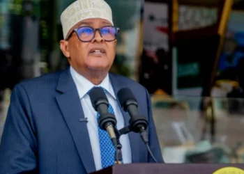 Madaxweyne Cirro oo Soomaaliya ku eedeeyay faragelin lagu hayo Somaliland