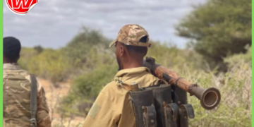 Xubno ka tirsan Al-Shabaab oo lagu dilay Shabeellaha Dhexe kadib howlgall ay Ciidamada  ka fuliyeen 